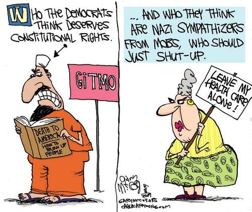 cartoon 8-16 gary mccoy gitmo healthcare larger.jpg